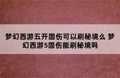 梦幻西游五开固伤可以刷秘境么 梦幻西游5固伤能刷秘境吗